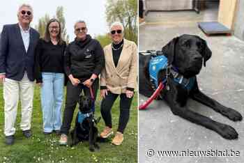 Twee jaar na opening opleidingscentrum levert Dogs4Blind eerste hulphonden af: “Emotioneel moment, maar ook trots”