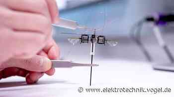 Wie ein hüpfender Mikroroboter die Robotik neu denkt