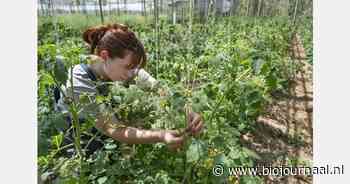 Opleidingen in de biologische, biodynamische, natuurinclusieve landbouw