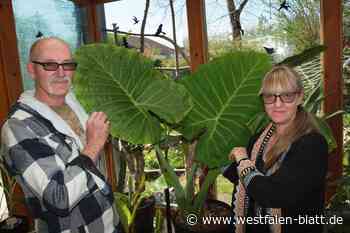 Exotische Pflanzen für ganz Deutschland