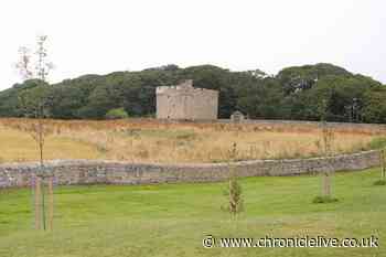 Motorbike yobs attack man with helmet after he confronted them for riding over Northumberland village green