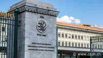 WTO: Zollpolitik beschert USA Exporteinbruch