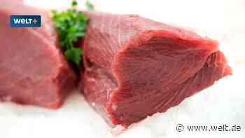 Ergebnis der neuen Fisch-Ampel – nur diesen Fisch dürfen Sie noch ohne Bedenken essen