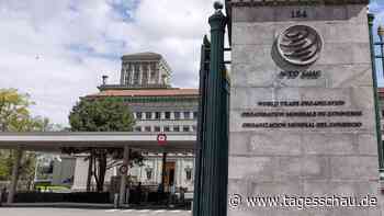 WTO-Prognose: Welthandel droht wegen der Zölle zu schrumpfen