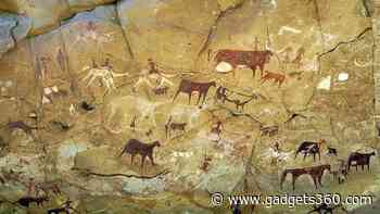 7000 Years Old Genome Analysis Unveiled Lush Green Habitat of Sahara Desert