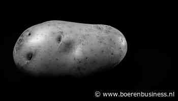 Ground Zero bereikt, aardappelmarkt valt stil