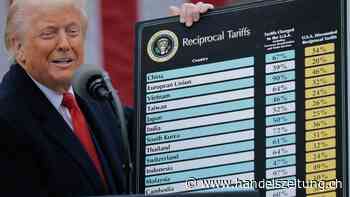 So können Firmen ihre Zoll-Last senken 