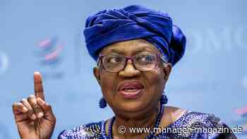 Welthandelsorganisation: Zollstreit droht Welthandel stark zu beeinträchtigen