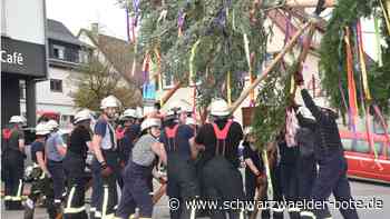 Maibäume in Haiterbach: In allen Teilorten wird gestellt und gefeiert