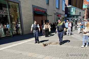 Entenfamilie wird beim Stadtbummel eskortiert