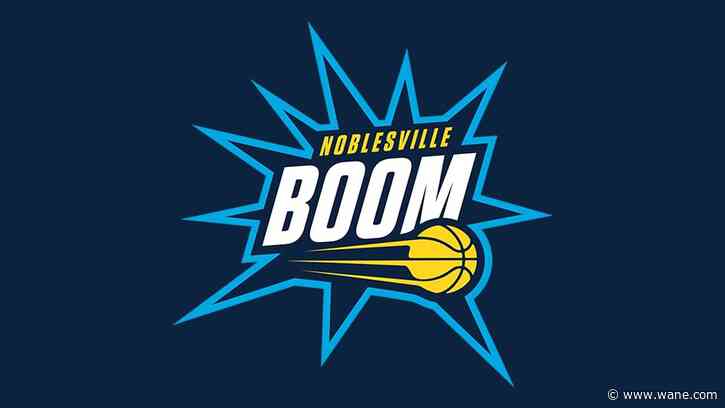 Mad Ants basketball has a new identity