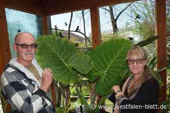 Exotisches aus Bad Lippspringe