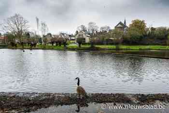 Zeshonderd leerlingen nemen deel aan scholencross