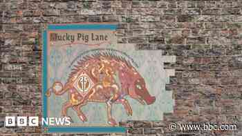Medieval-inspired art planned for city's snickelways