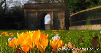 Great ways to celebrate spring and Easter in Yorkshire