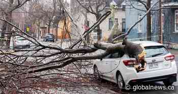 Winter weather leaves damage of more than $260M in Eastern Canada