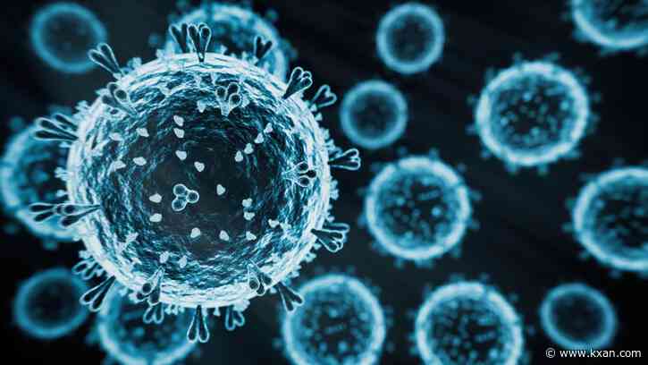 Highly Pathogenic Avian Influenza detected in mammals in Texas