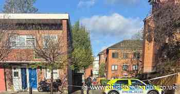 Man stabbed near playground in Hackney with police on scene