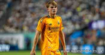 Luka Modric's investment could help bring seven stars and Real Madrid talents to Swansea City