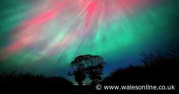 Where you can see Northern Lights in the UK tonight as red alert issued