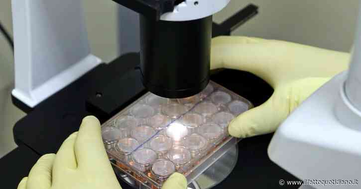 Parkinson, “così le staminali hanno ridotto i tremori”. Due studi pubblicati su Nature