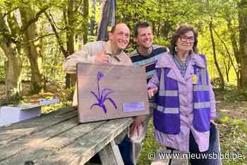 Voelplaten in het Hallerbos: Maurice ontsluit blauw bloementapijt nu ook voor mensen met visuele beperking