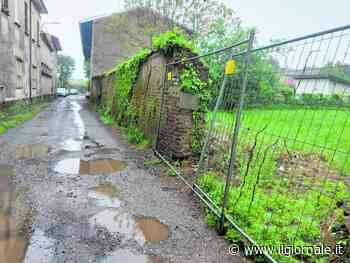 “Era consenziente”. L’egiziano risponde al gip, ma resta in carcere
