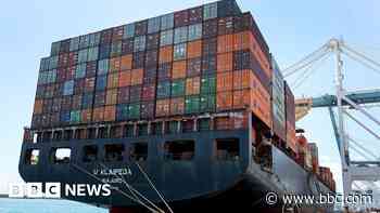 US tariffs will make global trade shrink, says WTO