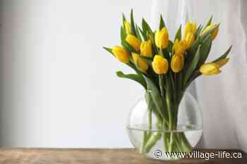 How to make your tulip bouquets last longer