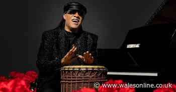 Controversial plans that will allow Stevie Wonder and Alanis Morisette to play at Cardiff park updated