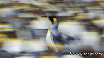 Linux laptop lagging? 5 simple ways to speed it up fast