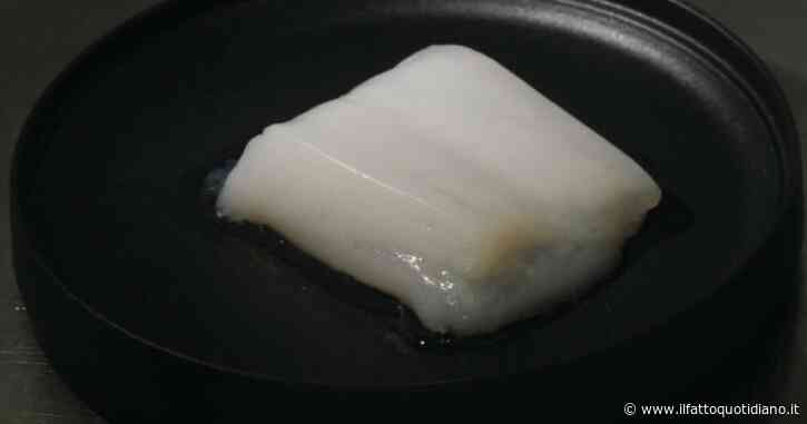 Carne coltivata, così gli scienziati giapponesi hanno “prodotto” bocconcini di pollo