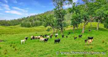 Picturesque Tenterfield cattle breeding country with near-new improvements