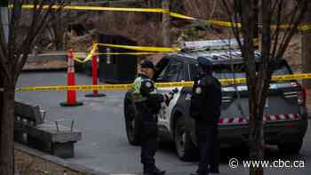 Toronto police ID suspect in TMU hit-and-run