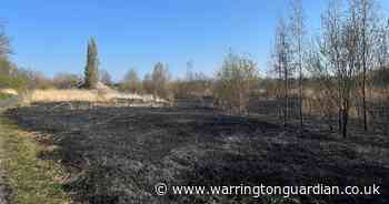 Police make two arson arrests after fire destroys five hectares of nature reserve