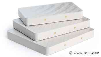 Full vs. Queen: What Are the Differences and Who's It Best For?