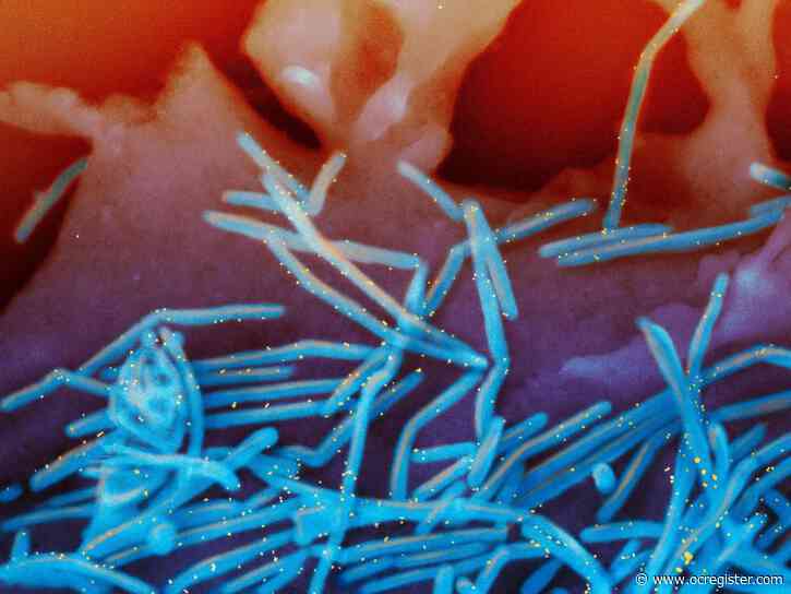 Experts make new recommendations on RSV and meningitis vaccines, but it’s unclear what happens next