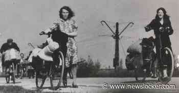 Deze foto’s van de Tweede Wereldoorlog redden levens en zijn nu Unesco-erfgoed