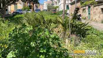 Monteverde, i cittadini chiedono sfalcio e nuovi alberi nel giardino Ugo Bassi