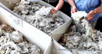 Wool on the frontline in EU labelling battle, growers urged to join fight