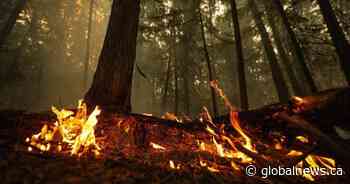 Flood and fire risks remain, despite positive signals in B.C. seasonal outlook