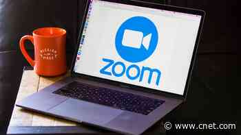 Zoom Is Down, According to Multiple Reports from Users