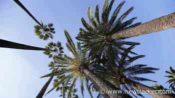 Nieuwe editie van Fyre Festival voorlopig 'uitgesteld'