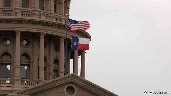 Texas DOGE considers bill to prohibit 'surveillance' by state contractors