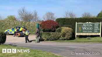 Woman hit by van on golf course dies