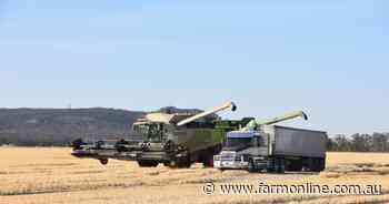 The fundamental factors to watch in grain pricing as northern crop heats up