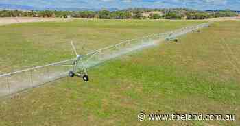 Cooloongatta a chance for livestock producers to mitigate seasonal risk