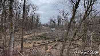 Municipal board upholds City of Winnipeg decision rejecting Lemay Forest plan