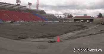 Fresh turf continues to be laid at McMahon Stadium