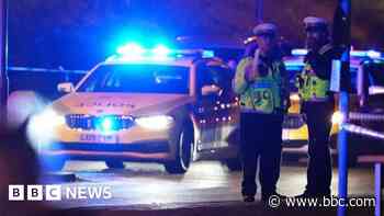 Pedestrian who died in fatal Crawley crash named